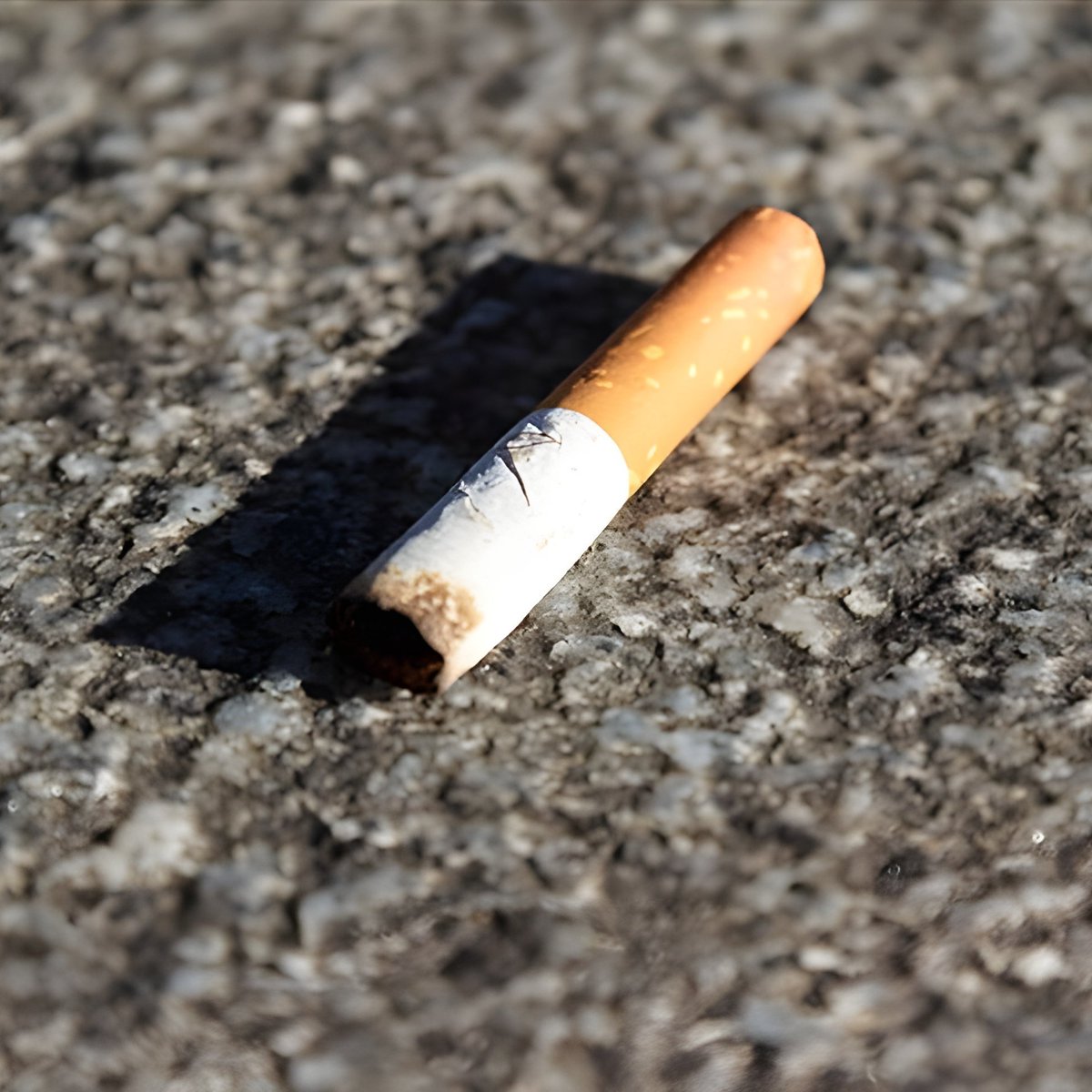 bpthaber's tweet image. Sağlık Bakanı Memişoğlu: "Sigaranın görünürlüğünü azaltmamız lazım.

Sigara içmeyenler mağdur oluyor.

Görünürlüğünün azaltılması için bir kanun taslağı oluşturuyoruz. Paketinden satış alanlarına kadar her şeyi yeniden düzenleyeceğiz."