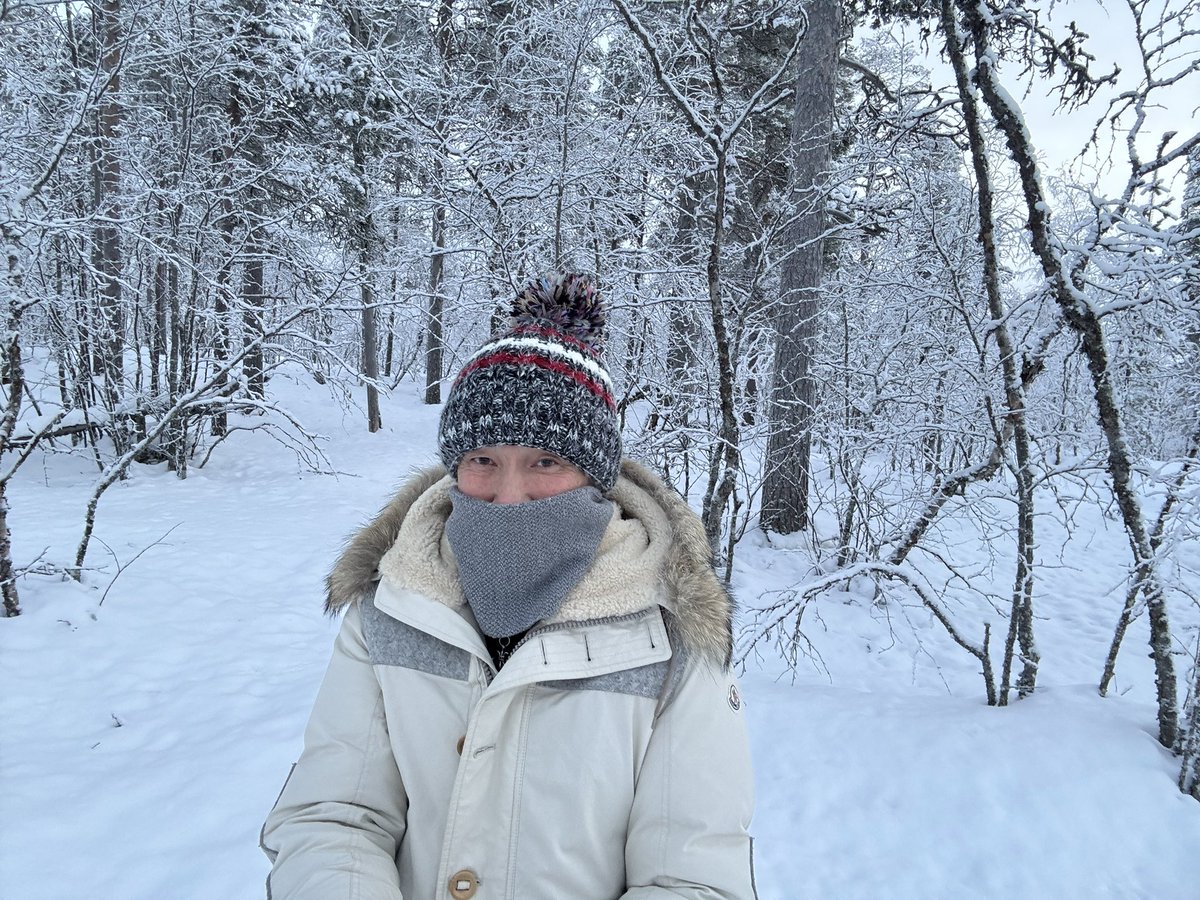 itoutti's tweet photo. 雪深い野山を散歩・散策。　散策に向かう道路は、車が通るけど雪は真っ白なまま凄い世界です。⛄️
日が沈むとオーロラ…　昨日のらしきものはやはりオーロラでした。
地球の磁場が、極に集まってくる影響でオーロラができるようです。
知らない事が、たくさんあります。😄
#Arnage https://t.co/ziRtd8j73E