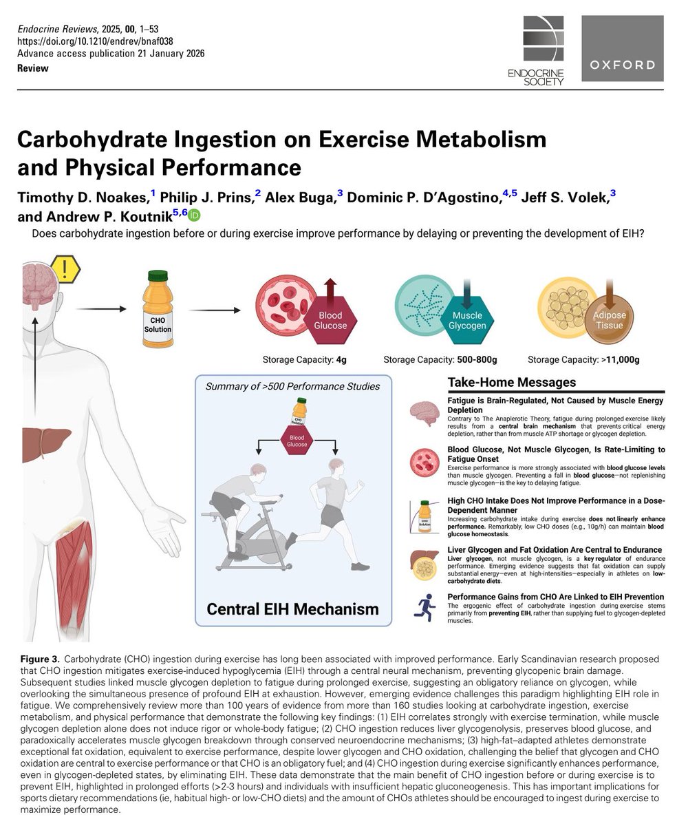 Nick Krontiris tweet media