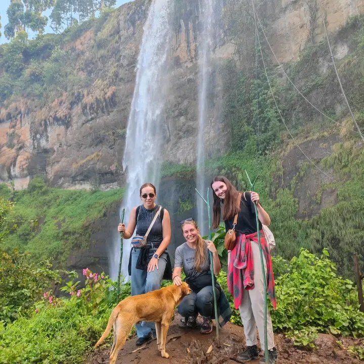 Wildlife Encounters tweet media