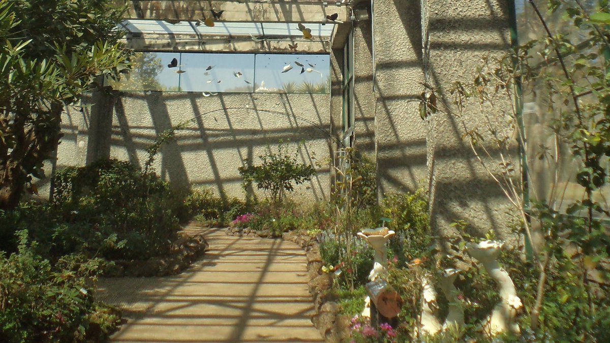 บ่าย (@4n1382) on Twitter photo 