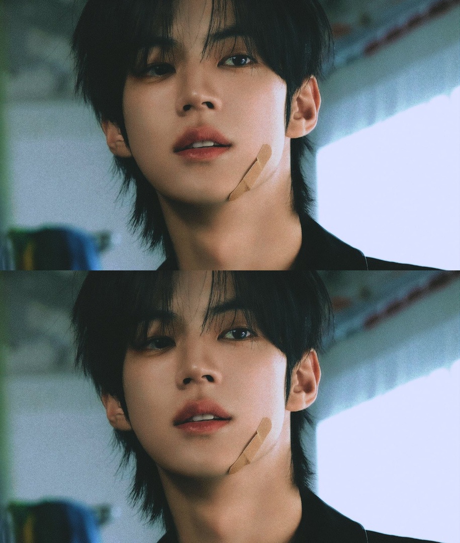 starfess's tweet image. -star Idol tapi vibenya aktor banget??
I'll go first — Kim Dohoon