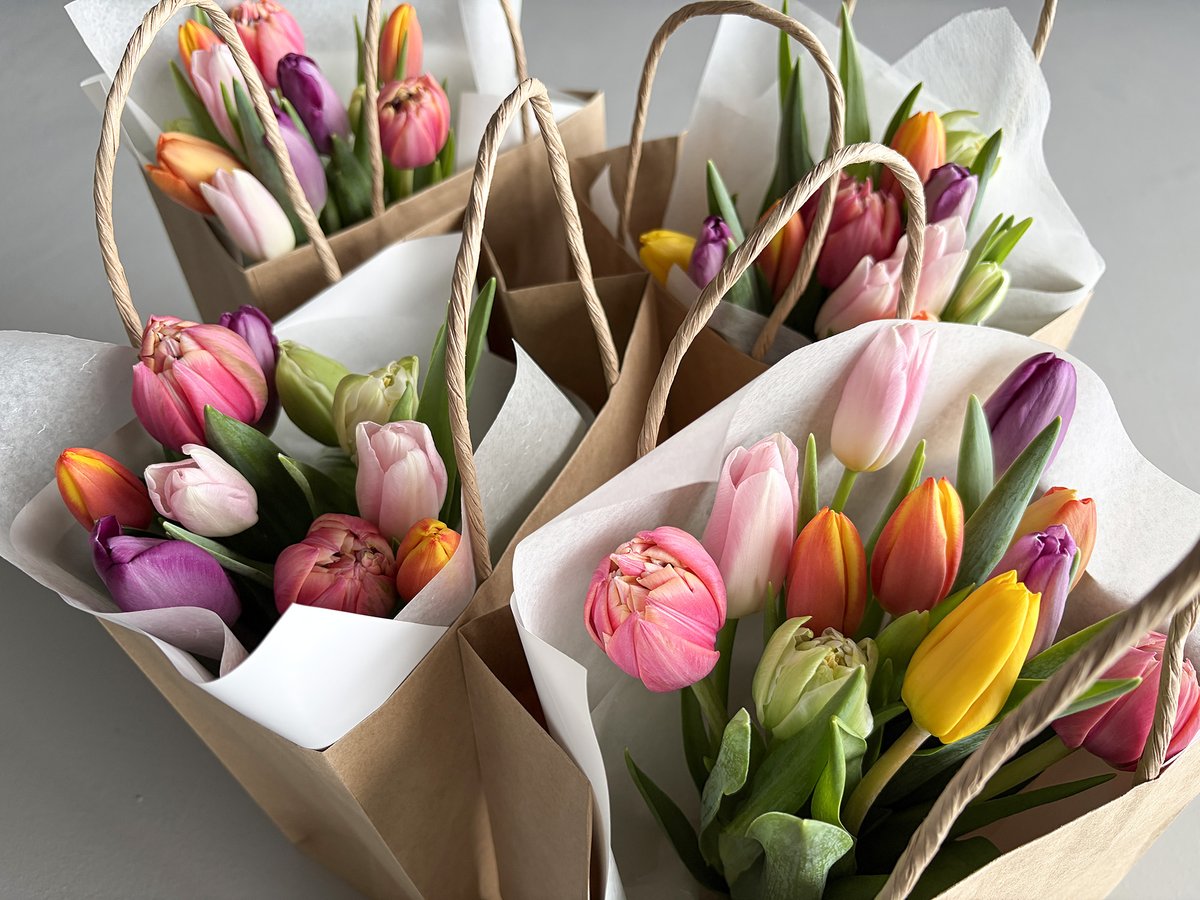 チューリップ🌷 手提げ袋に入れるとより可愛い😍 外は雪がすごいけれど