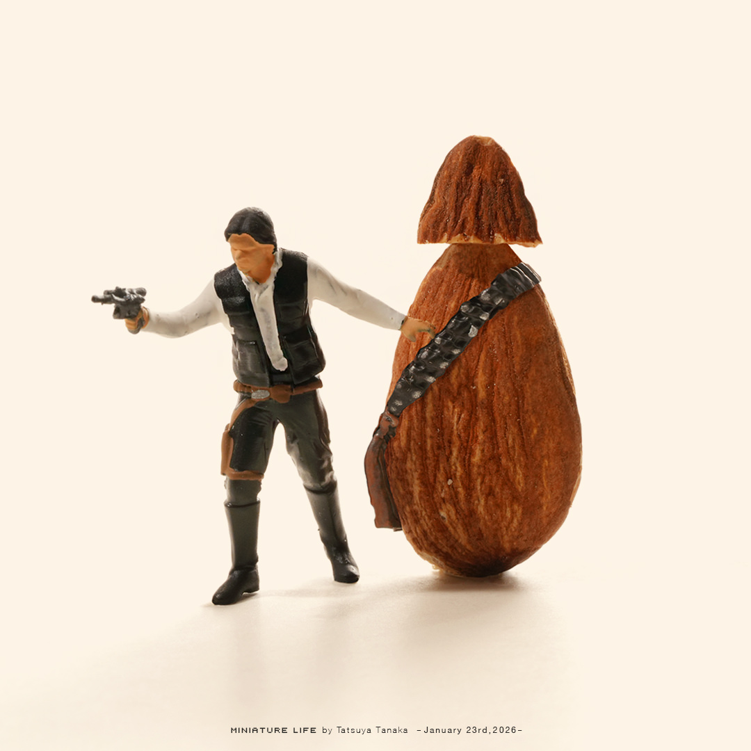 syosyo (@401Syosyo) / Posts / X