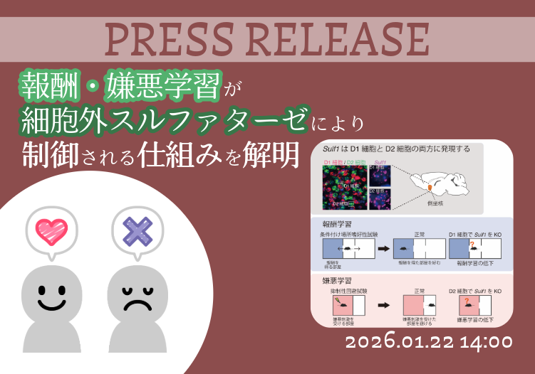 大阪大学蛋白質研究所 tweet media