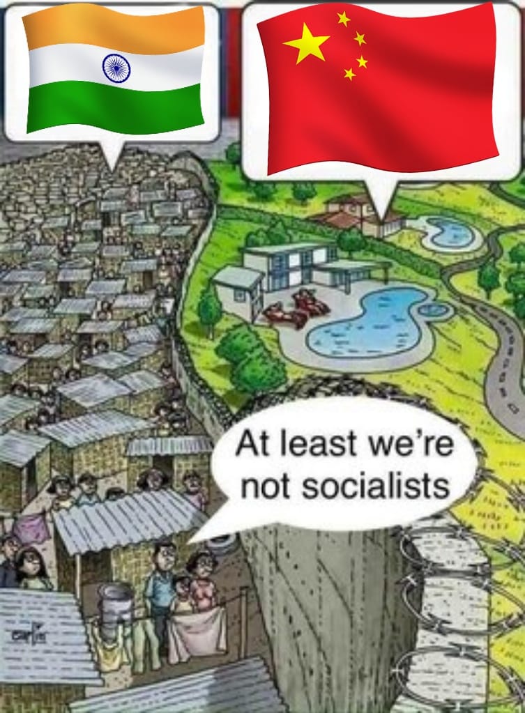 ✦✦✦ 𝙿𝚊𝚖𝚙𝚑𝚕𝚎𝚝𝚜 ✦✦✦ tweet media