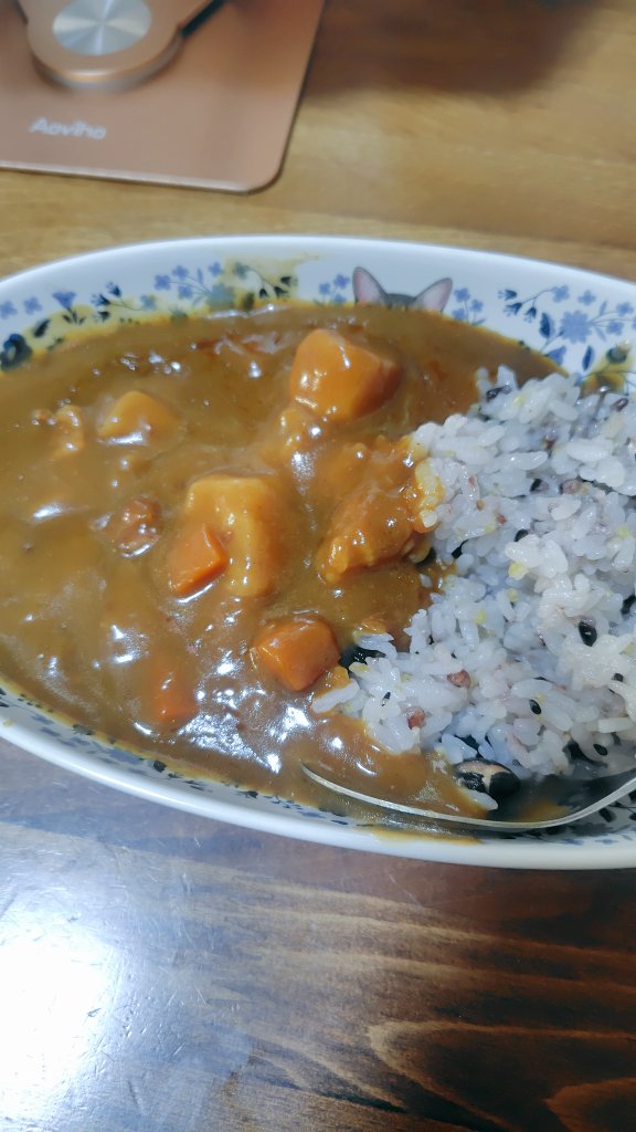 いや〜寒いっすねぇ〜🥶

カレーの日だそうなので、お昼はレトルトカレーにしやした🍛
高級なのも有名メーカーなのもご当地系のも色々食べたけど、やっぱりボンカレーなのだ（ゴールドなッ）
根っからのニッポン人だと思うわ

義姉は具材ゴロゴロ系が嫌いでキーマみたいのが好き