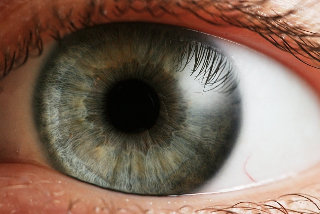 krishan chopra tweet media