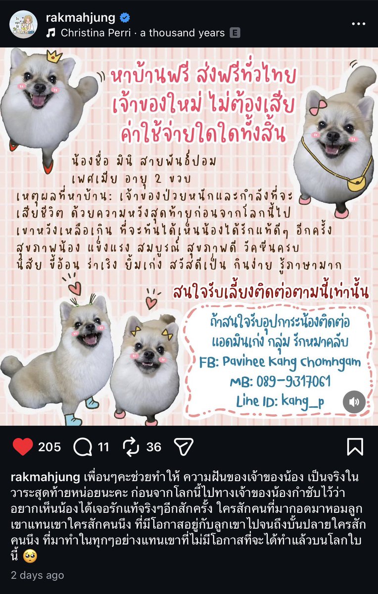 หาเจ้าของใหม่ให้เจ้าของเก่ากันครับ อ่านแล้วเศร้ามากจริงๆ

🥺🥺🥺🥺🥺🥺🥺🥺🥺🥺🥺🥺🥺🥺🥺🥺🥺🥺🥺🥺🥺🥺🥺🥺🥺🥺🥺🥺🥺🥺🥺🥺