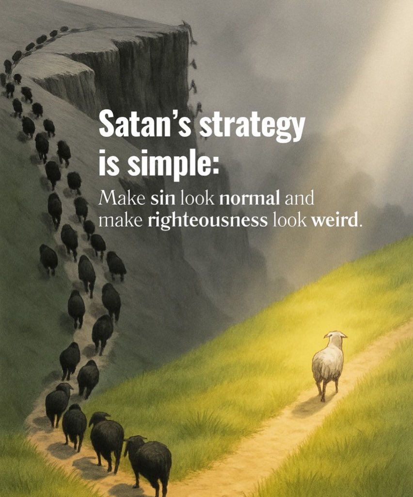 Holy__Bible1's tweet image. 