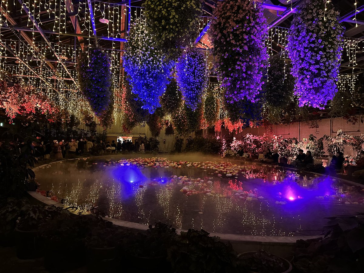 海伦子Hellen tweet media