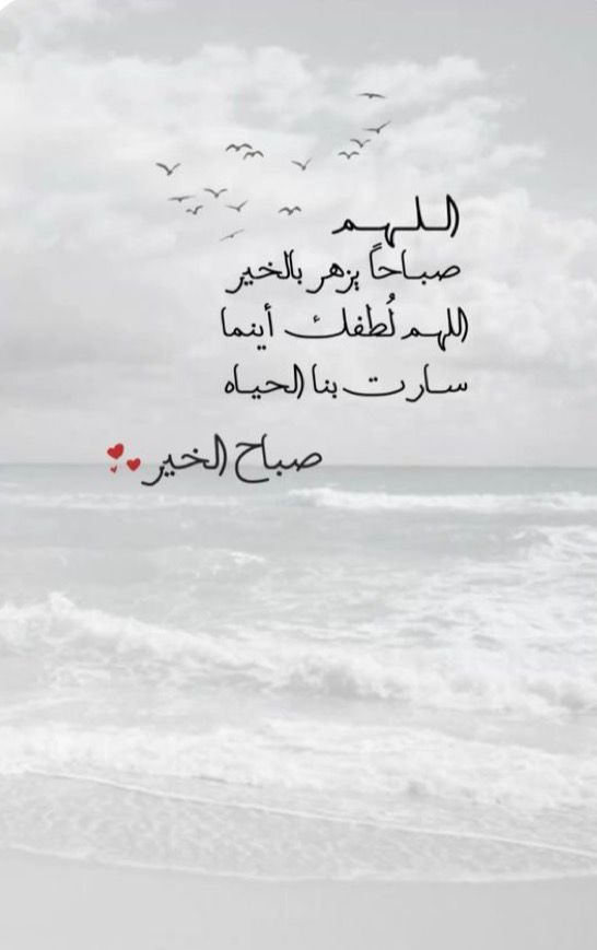 ☘️السعادة لقلوبكم