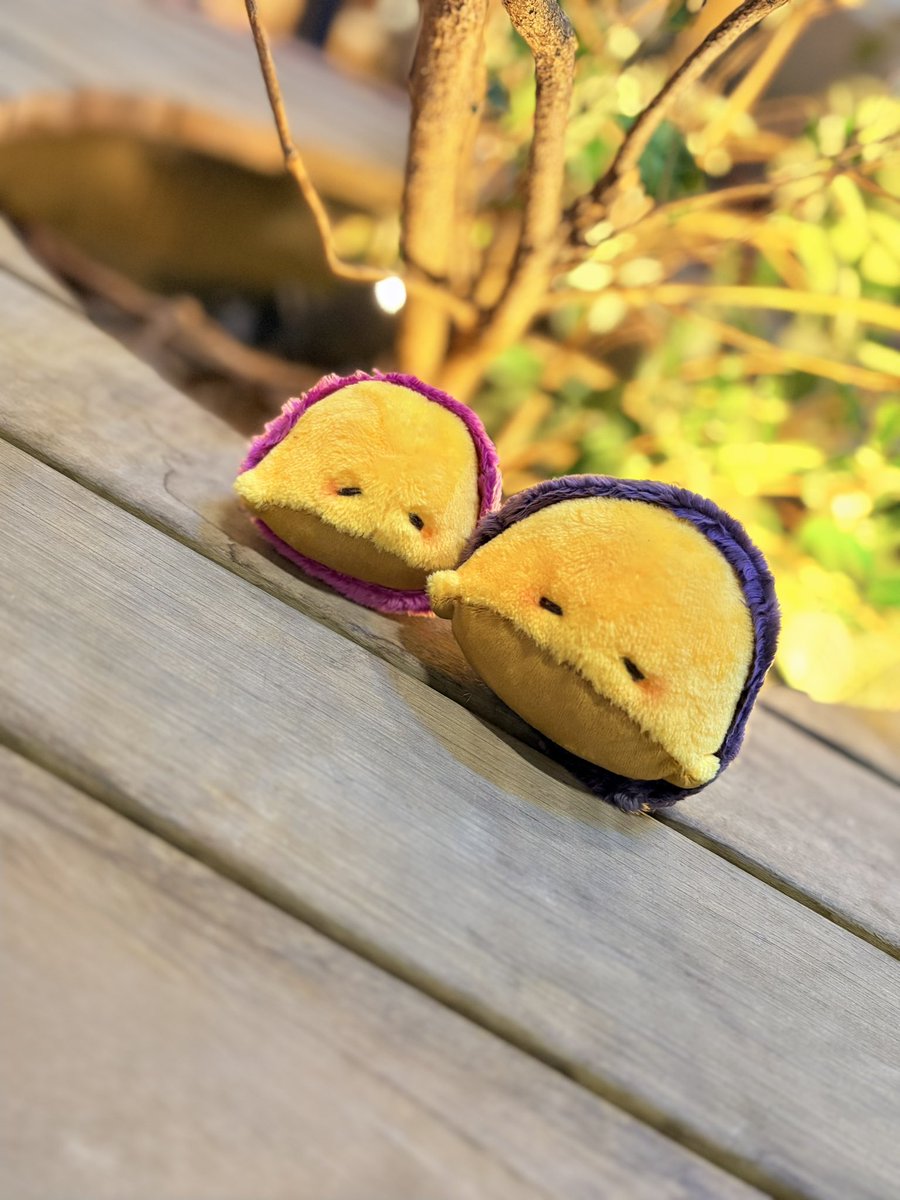 Cootan / くぅたん 公式アカウント (@cootan181) / Posts / X