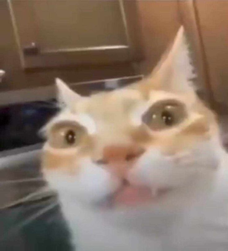 🟨⬜🟪⬛⸸Prank-Kids⸸🟨⬜🟪⬛ tweet media