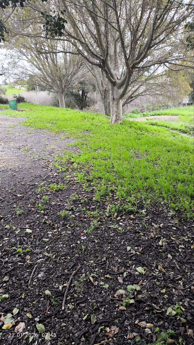 התקופה הזאת בשנה שהתחנות דלק בכביש 6 נראת כמו תחנת דלק באירופה