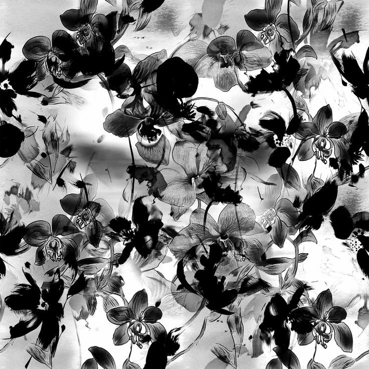 ➵𝐄𝐋𝐈𝐀𝐒 tweet media