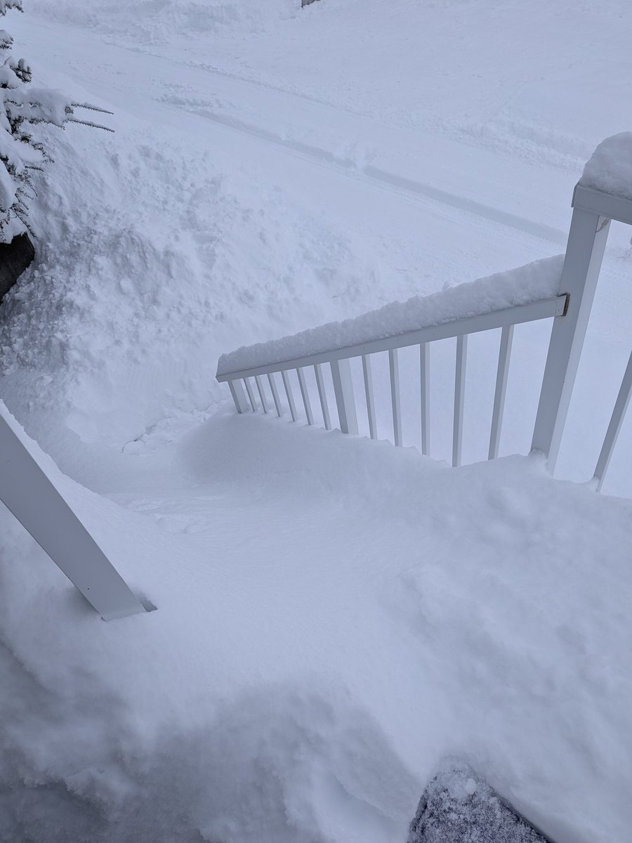 なおこ (@nyaokon2) / Posts / X