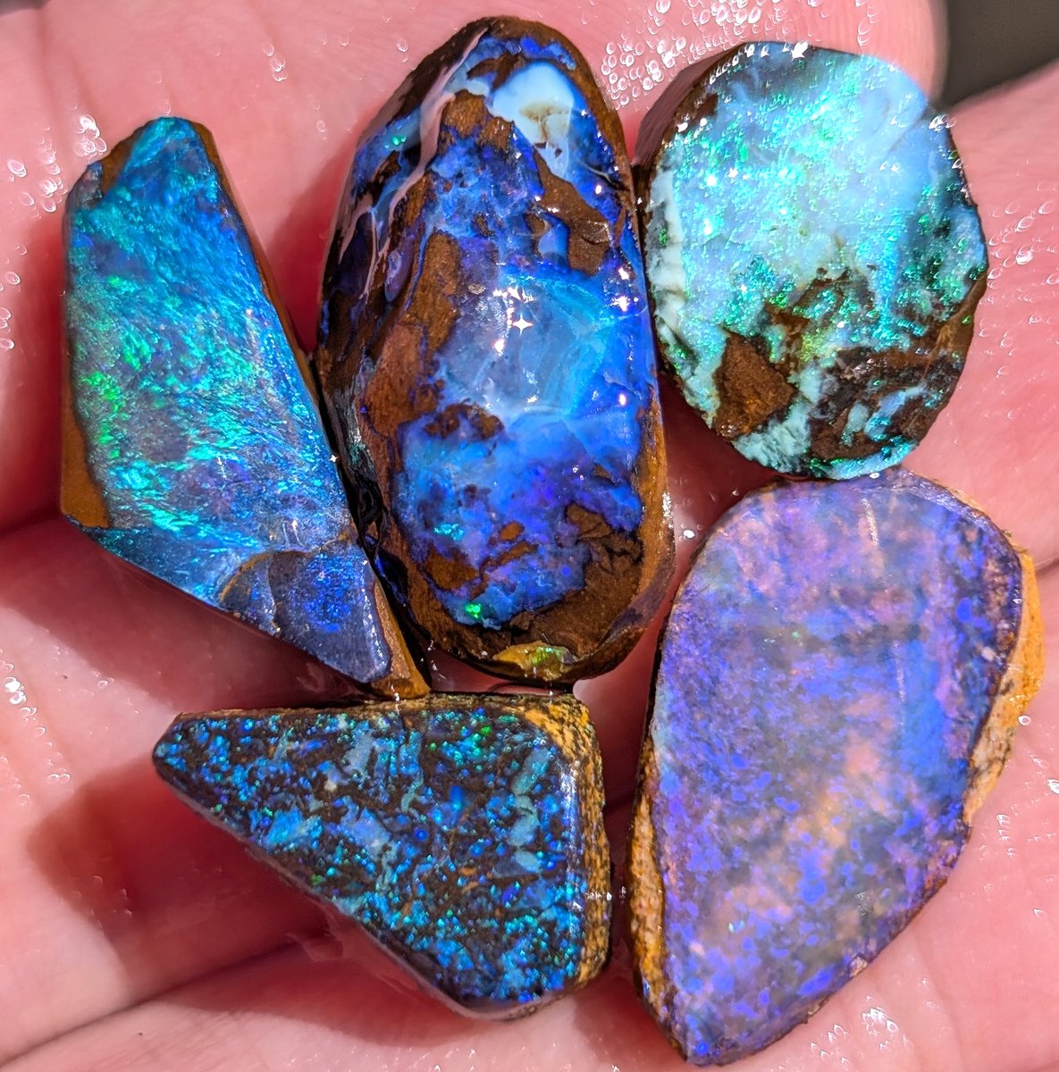 ボルダーオパール＆ウッドオパールの原石 ※一部コレクターさん所有