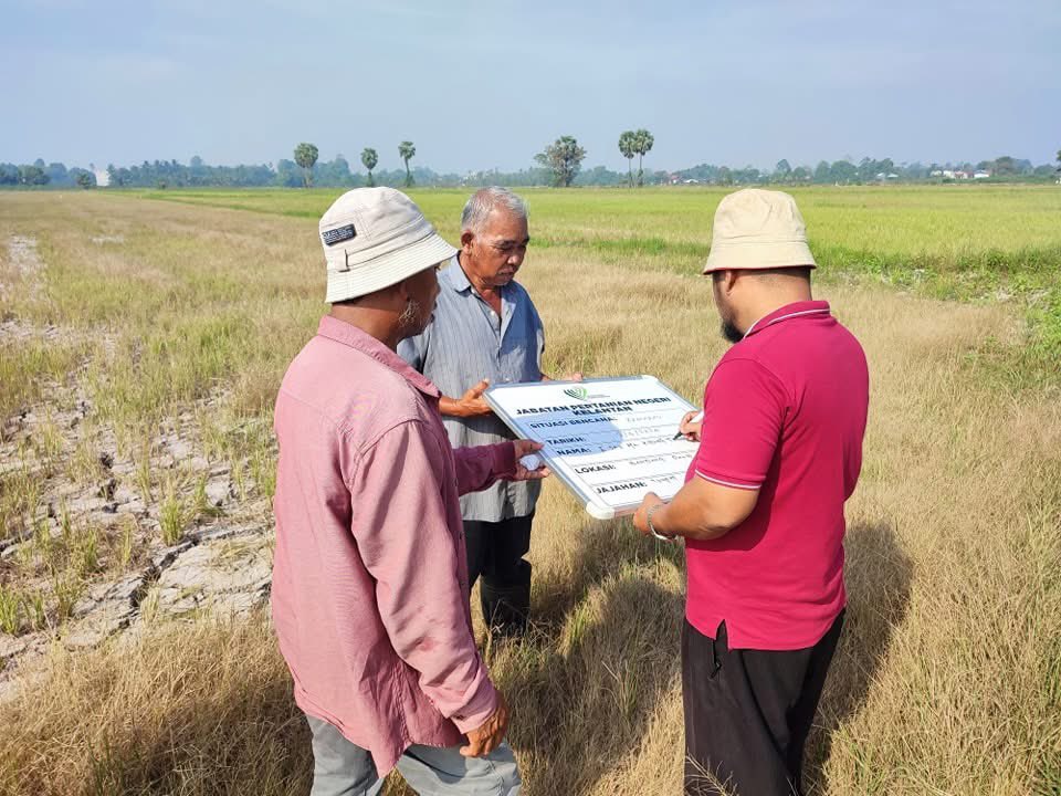 Sebanyak RM5.04 juta bantuan di bawah Tabung Bencana Tanaman Padi (TBTP) disalurkan kepada 2,255 pesawah yang mengalami pengurangan atau kehilangan pengeluaran hasil tanaman akibat bencana sepanjang 2025.
.