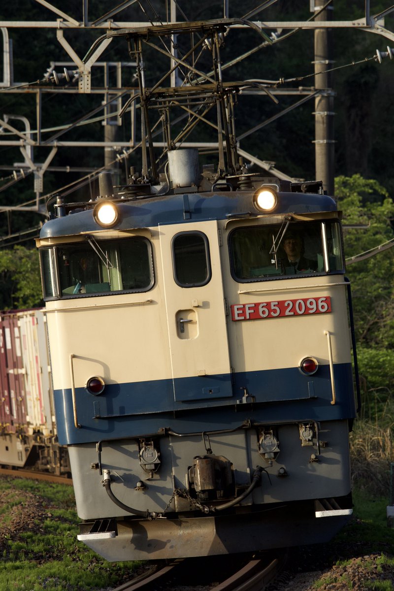 なぁぼし tweet media