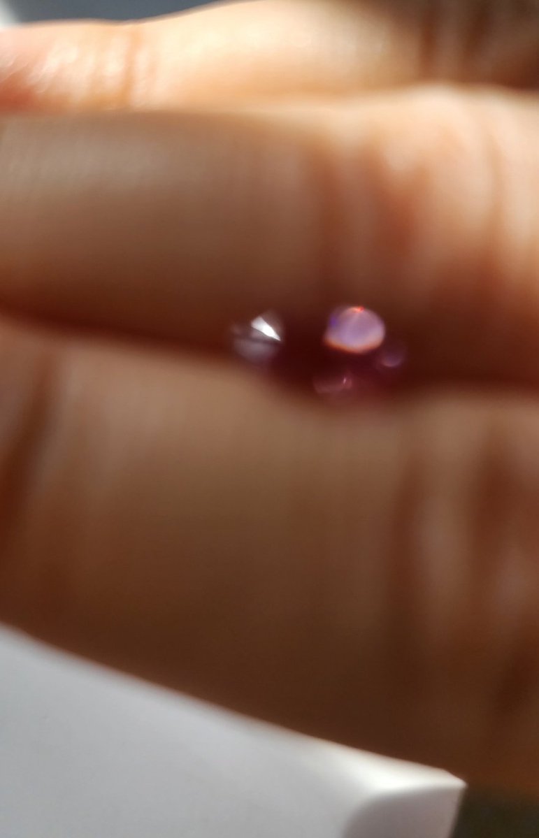 손 위의 파파라챠 스피넬🌸