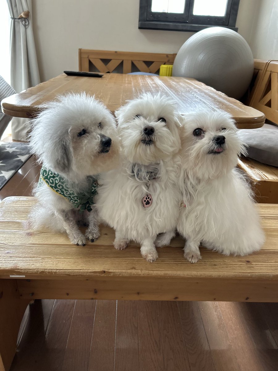 ハルくん (@9Z8lquSv8B3FMpN) / Posts / X