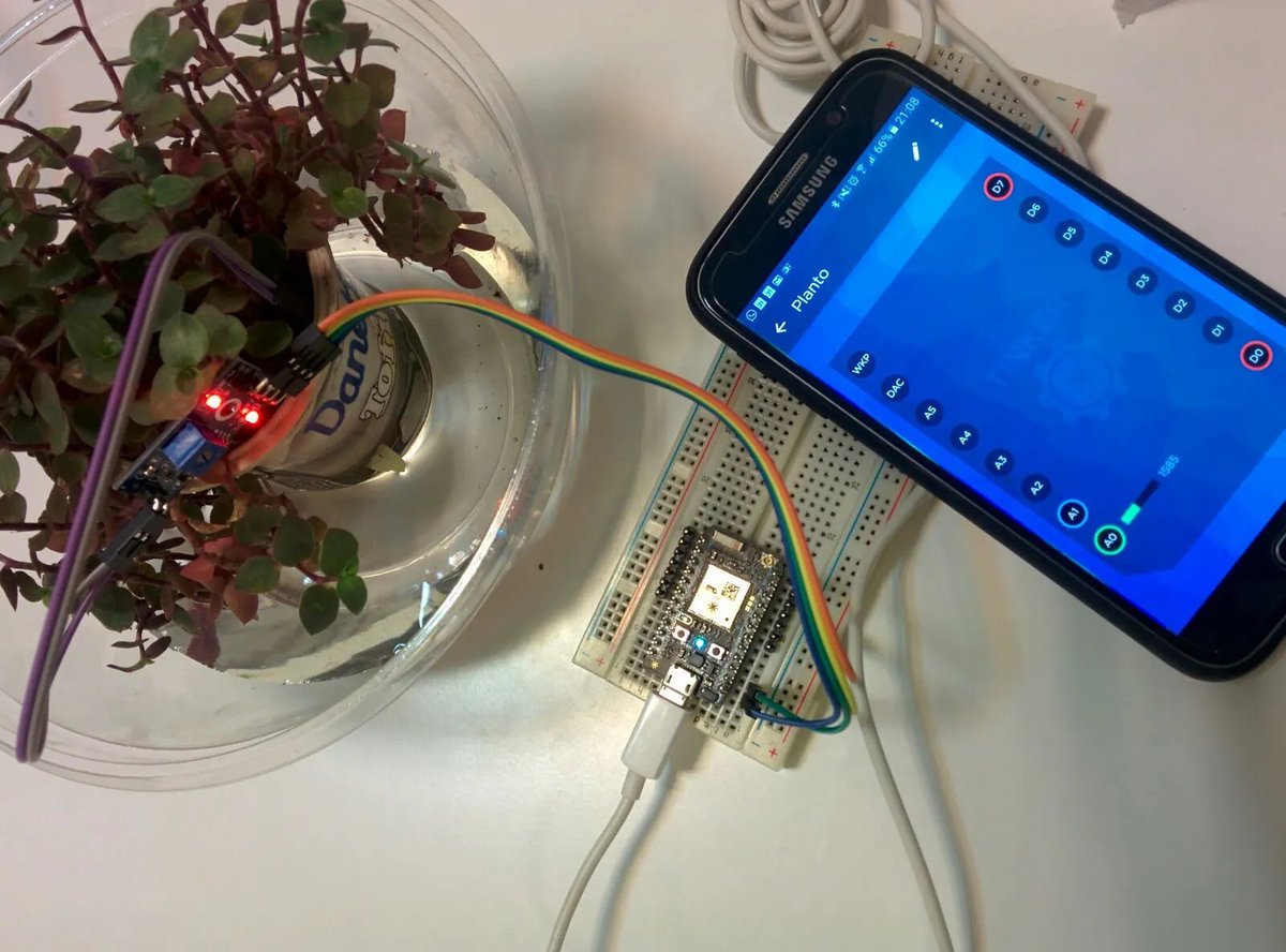 En el trend de volver al 2016, no sé qué estaban haciendo uds. pero nosotros estabamos haciendo hablar a las plantas medium.com/aerolab-storie…