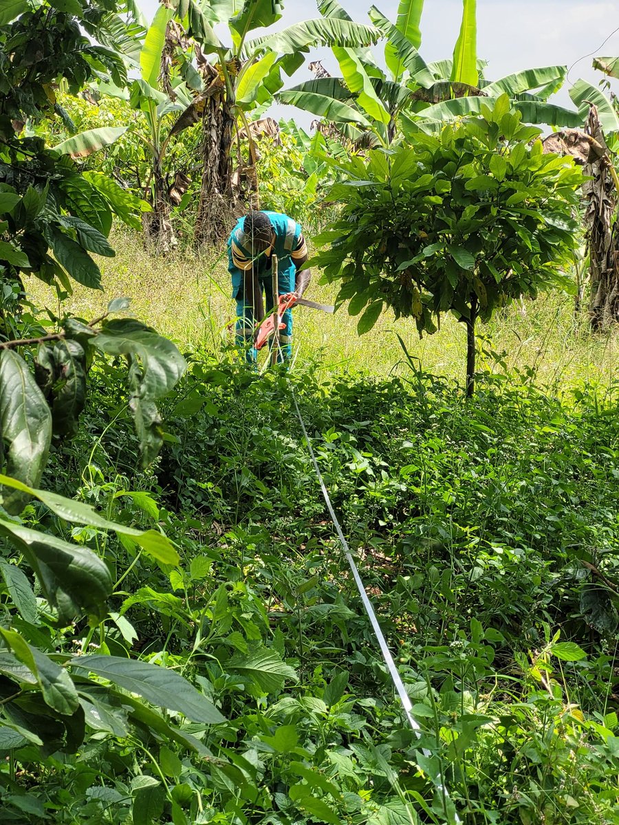 Sprinktech tweet media