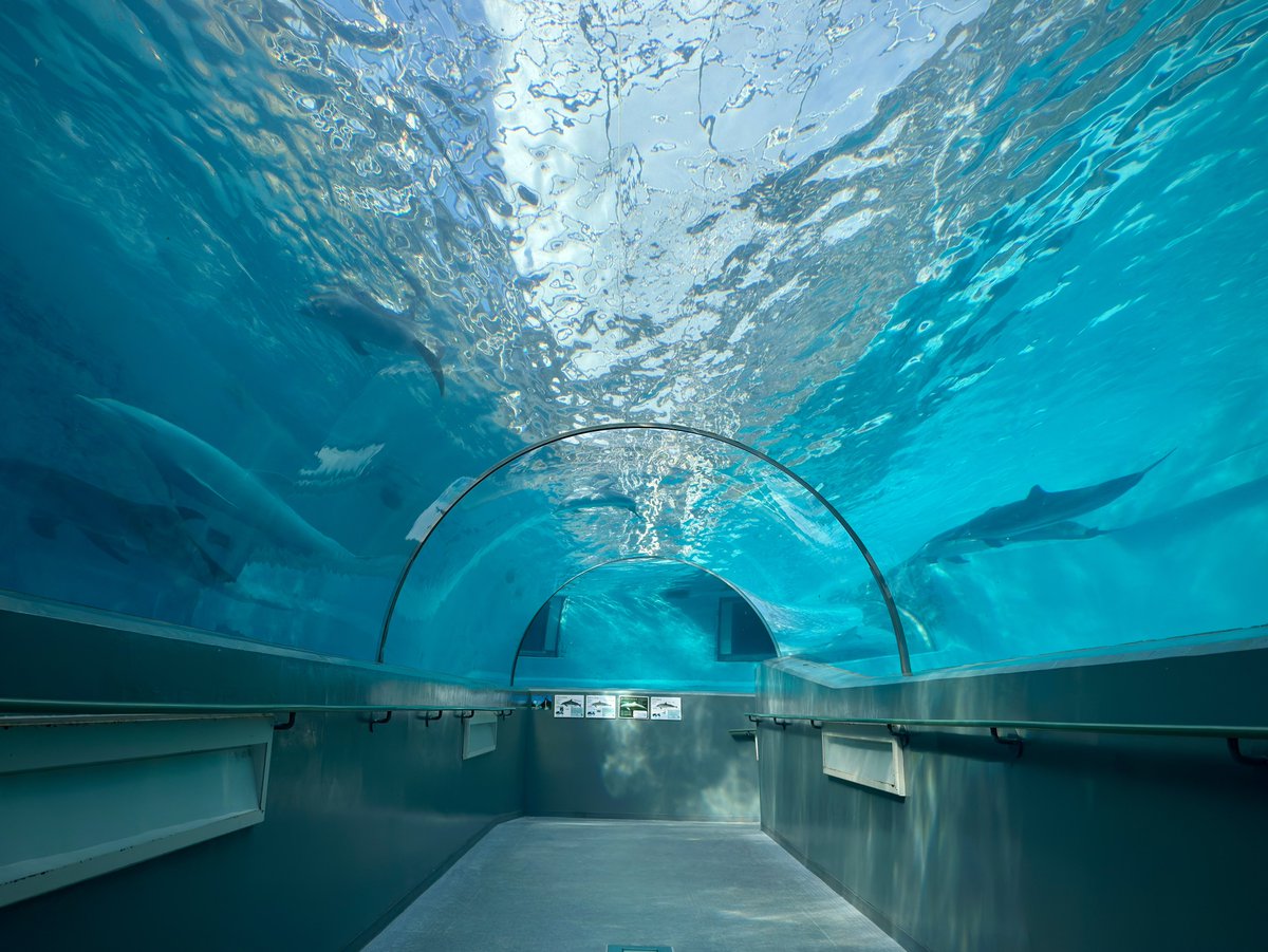 North_ern2's tweet photo. というわけで、クジラの博物館でした。たまには観光しなきゃ…（なほ、本命は鯨漁や文化史方面という）
ここ凄いぞ…去年は街の中をふらつく時間しかなくてようやく再訪できたが来て本当によかった。博物館施設ってやはりいいわねえ。 https://t.co/Hs5z0MAtk7