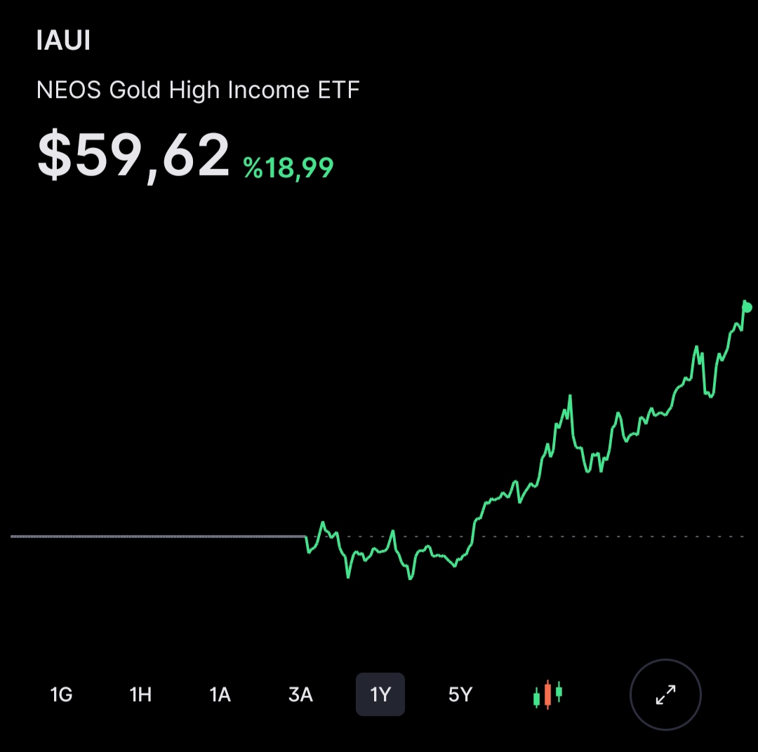 Nezih Gökay tweet media