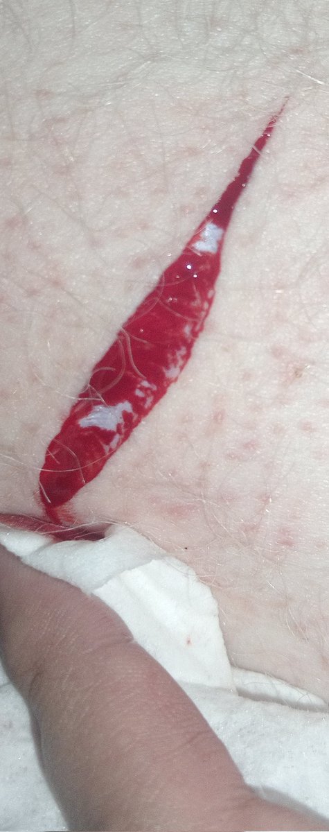 .•°𝑆𝒶𝚢𝐮°•. tweet media