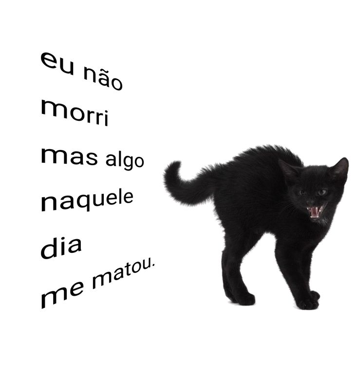 odeiootaco's tweet image. 