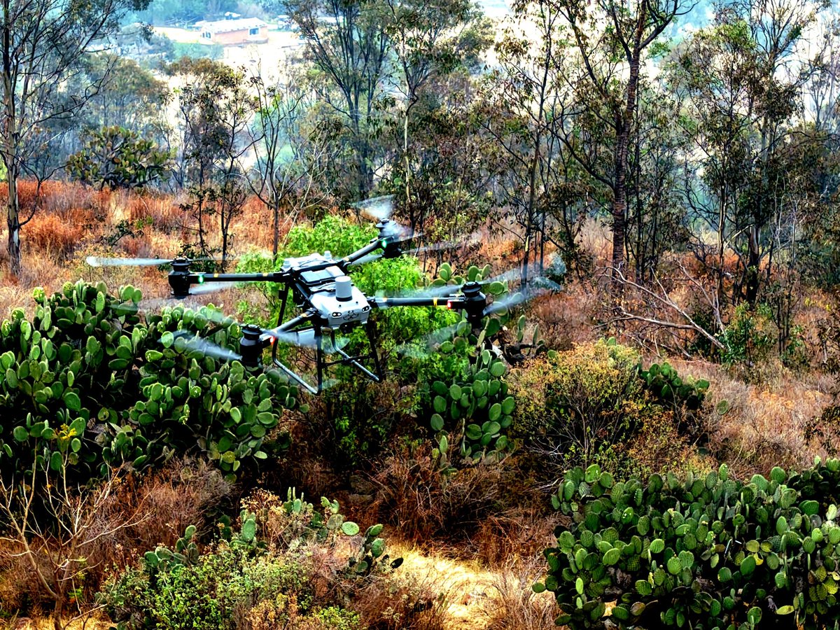 AmbienteEdomex's tweet photo. El @Edomex a través de esta Secretaría, inició el Curso Básico Teórico-Práctico: Prevención y Combate de Incendios Forestales, se continúa con la sesión práctica, colaboradores #SIMISPACE, #ICAMEX, @pciviledomex y #CONAFOR.

 #MedioAmbiente
#ElPoderDeServir https://t.co/gSE5PGnKAA