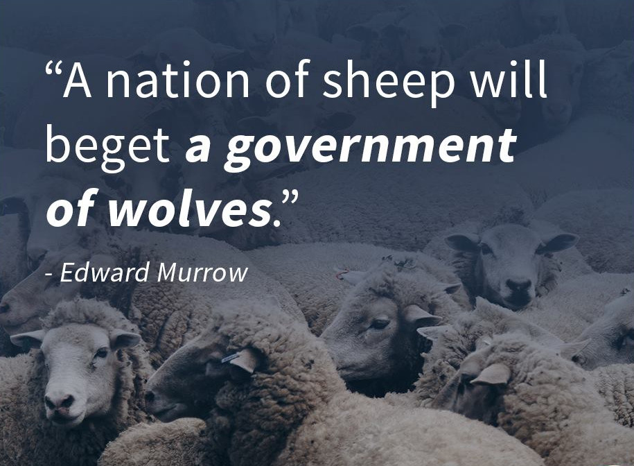 rabbitholebot's tweet image. 