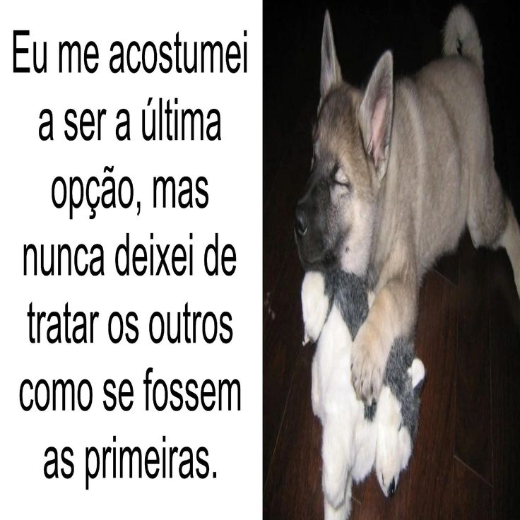 odeiootaco's tweet photo. https://t.co/S56NjDwrsm