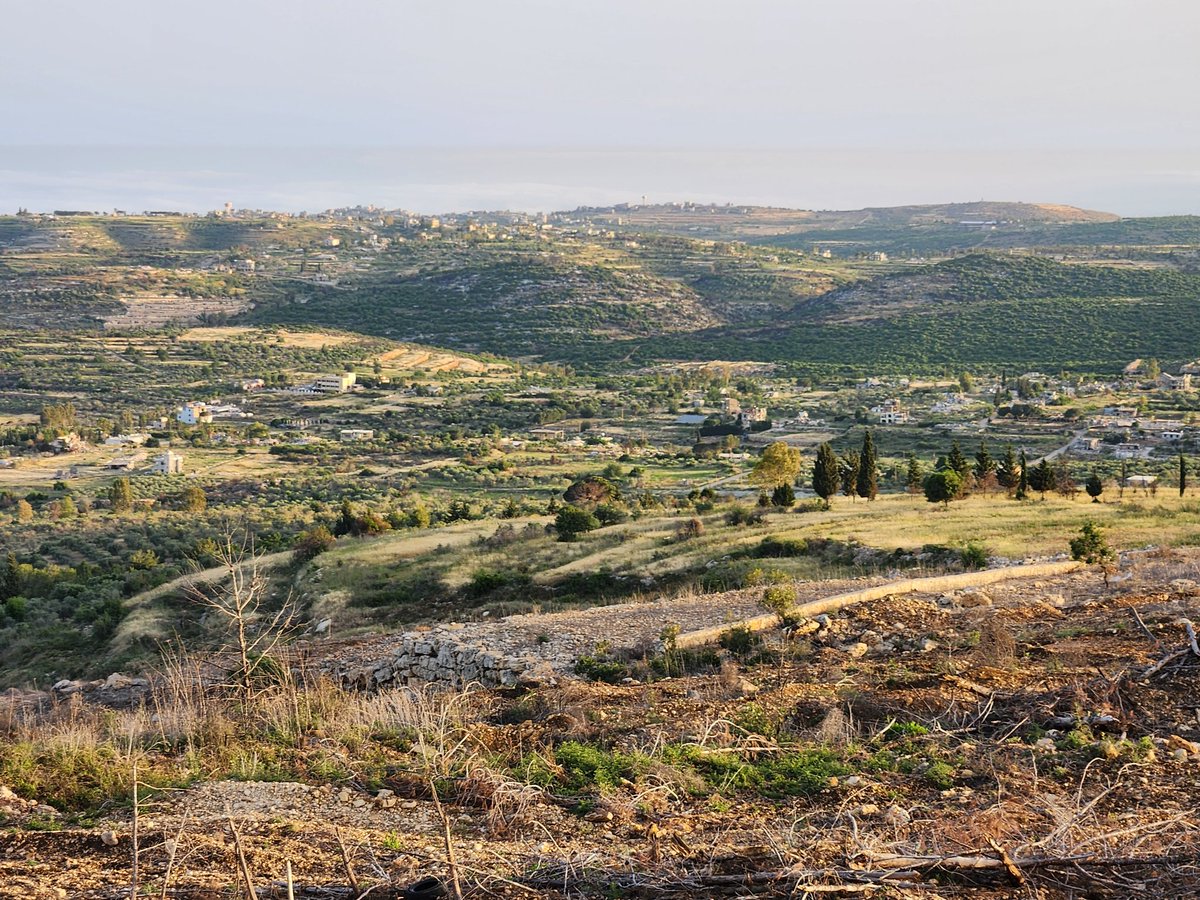 avrahambin's tweet photo. שלום מעיין מקיבוץ סאסא. 
בשנתיים האחרונות עשיתי עם חבריי מאות ימי מילואים בלבנון ובגבול הצפון, כדי שה��כנים הצמודים והחמודים שלך מיארין, ראמיש ומארון א-ראס לא יבואו לשחוט אותך ואת משפחתך.
בברכה, אברהם, חייל מילואים מיצהר.
עם זקן ופיאות "שכמותו". https://t.co/J7PE0q6sBt