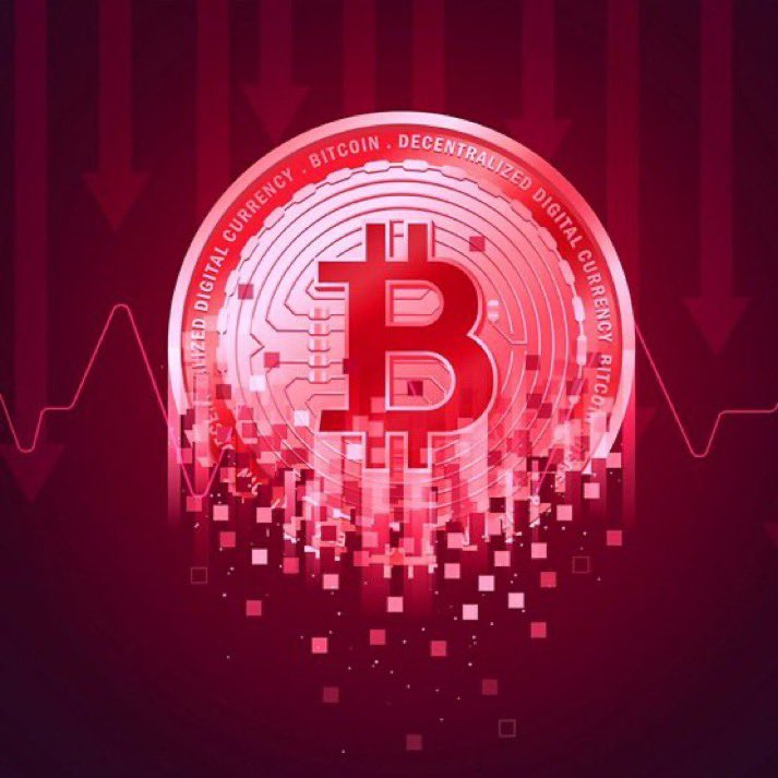 Crypto Rover tweet media