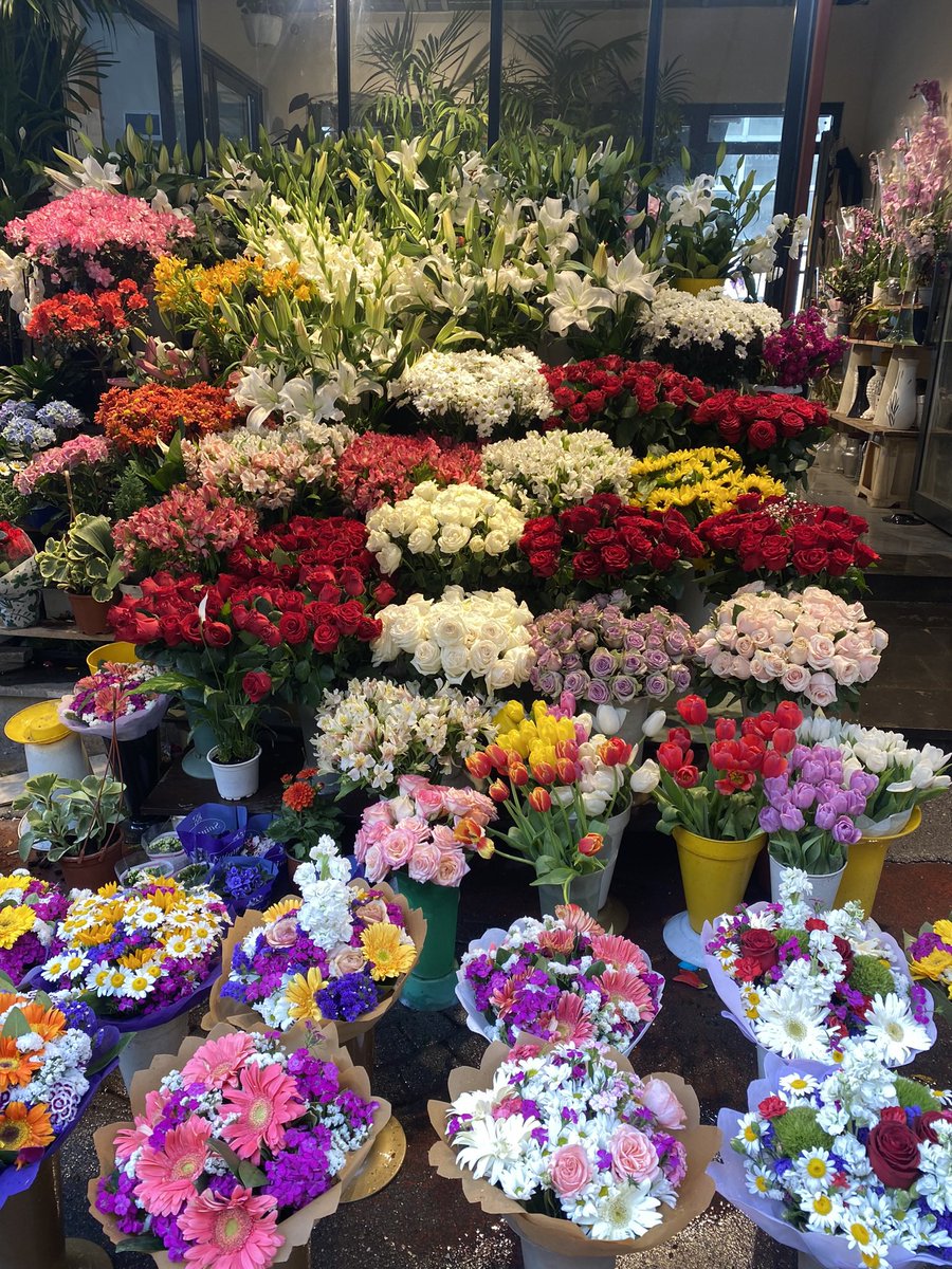 görünce içimin kıpır kıpır olduğu şu manzara