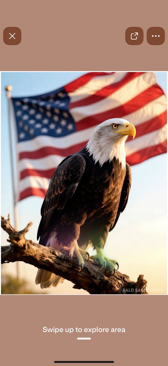 Friend that follow back ⭐️ 
<a href="/DaveRowan101/">Dave Rowan</a> 
<a href="/KIPMORRIS71/">Kip Morris</a> 
<a href="/jimlay1962/">Jimlay</a> 
<a href="/MrMr_the1st/">Mr Mr</a> 

<a href="/BrennAllt_/">BrennAllt ❤️‍🔥</a> 
<a href="/YankeesRising/">YankeesRevolutionary</a> 
<a href="/ScotchFr33/">Scott Maddux</a> 
<a href="/im4_2a_allday/">Tony🇺🇲🇺🇲🇺🇲</a> 

<a href="/88Diamonds/">Keki</a> 
<a href="/mygolden_holden/">RN Patriot</a> 
<a href="/CybergypsyGG/">God’s Girl</a> 
<a href="/Primrose771646/">Primrose</a>