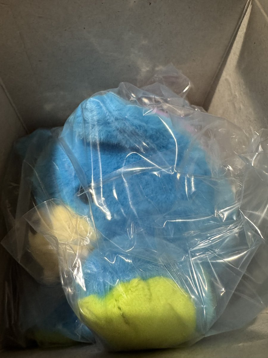 ニュース ｜ ENHYPEN JAPAN OFFICIAL SITE ENHYPEN VANISH ボイスキーリング ヒスン ぬいぐるみ