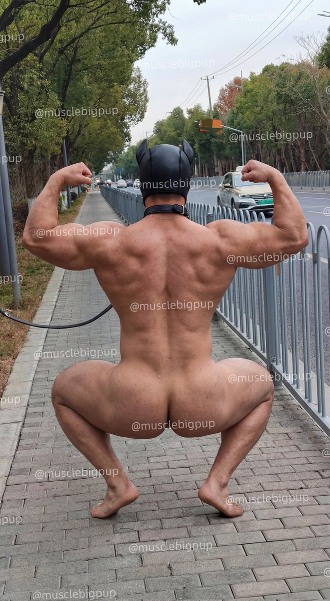 musclepup tweet media