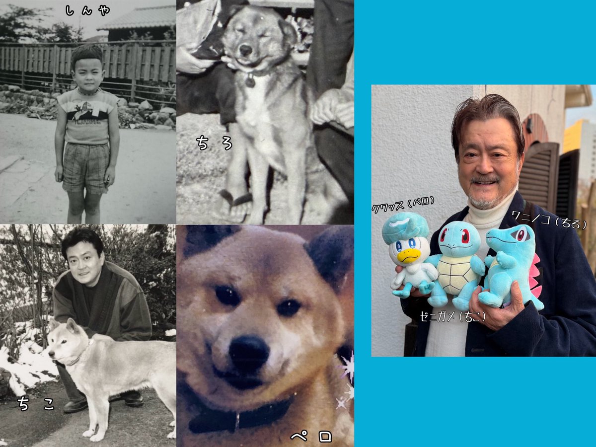 ペロ、ちこ、ちろ。

昔、家にいた犬たちの名前です。

いまは名前を受け継いで、
そばにポケモンの仲間たちがいます。
#ポケモン　#ぬい活