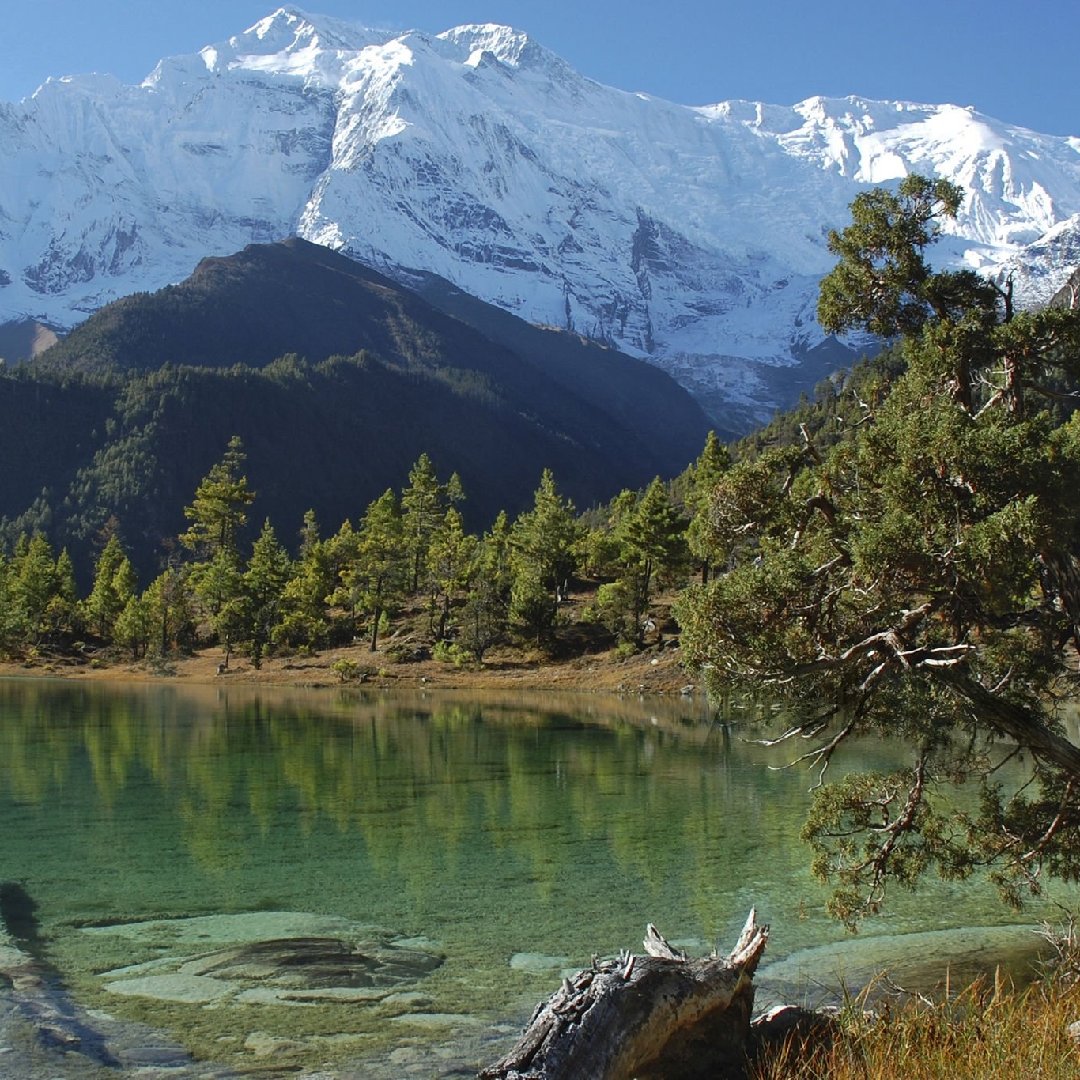 JourneyDmc's tweet photo. The Manang Trek is a classic Himalayan journey in Nepal’s Annapurna region, renowned for its dramatic landscapes, rich Tibetan-influenced culture, and excellent acclimatization opportunities. 
https://t.co/sUxP7shMmV https://t.co/jDmOABsvWL