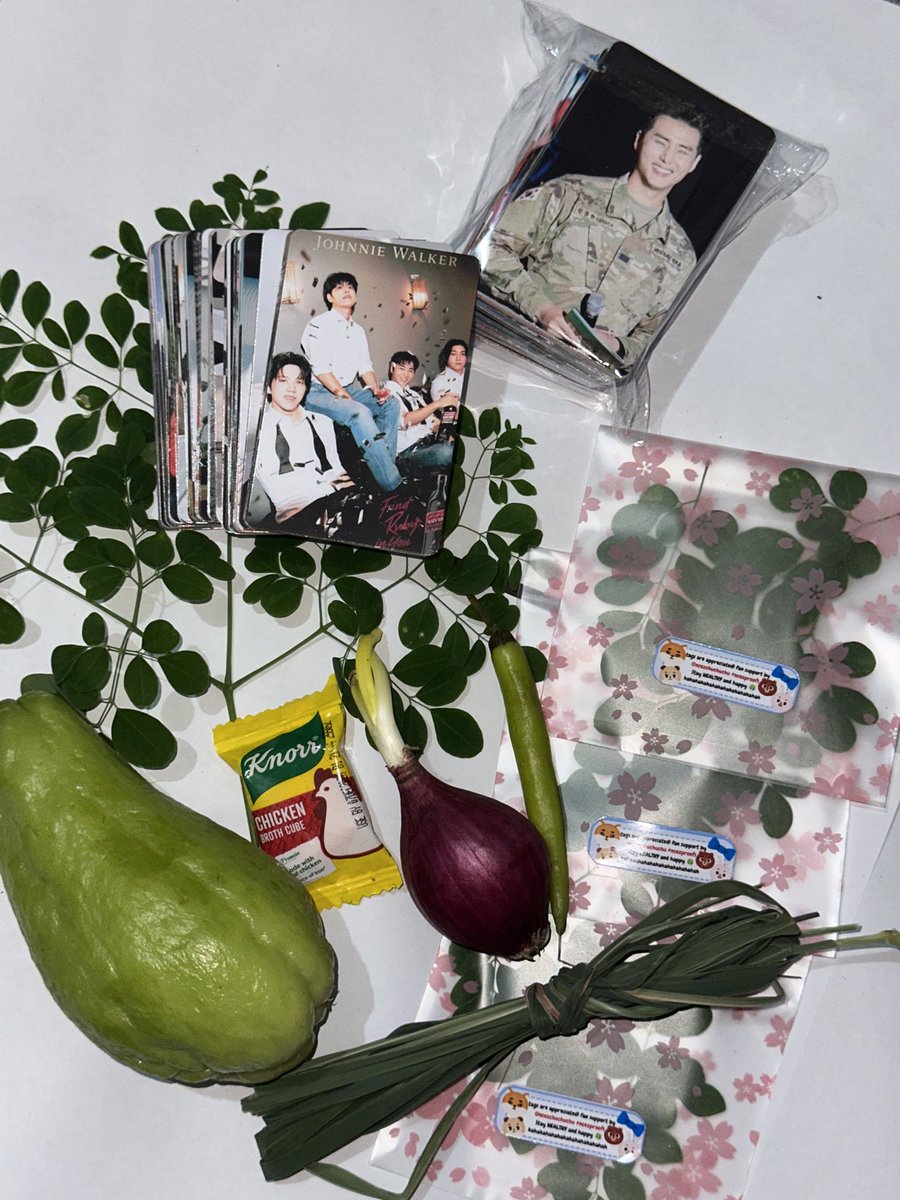 ncezchuchuchu's tweet image. 🍀day6 in manila fan support🍀

— claim malunggay leaves to get 2 photocards!
— will twt abt my whereabouts on d-day

✨GRAND PRIZE: sayote, tanglad, knorr cubes, sibuyas, at sili.✨

#The_DECADE_MANILA
#TheDECADEinMANILA 
#DAY6inManila