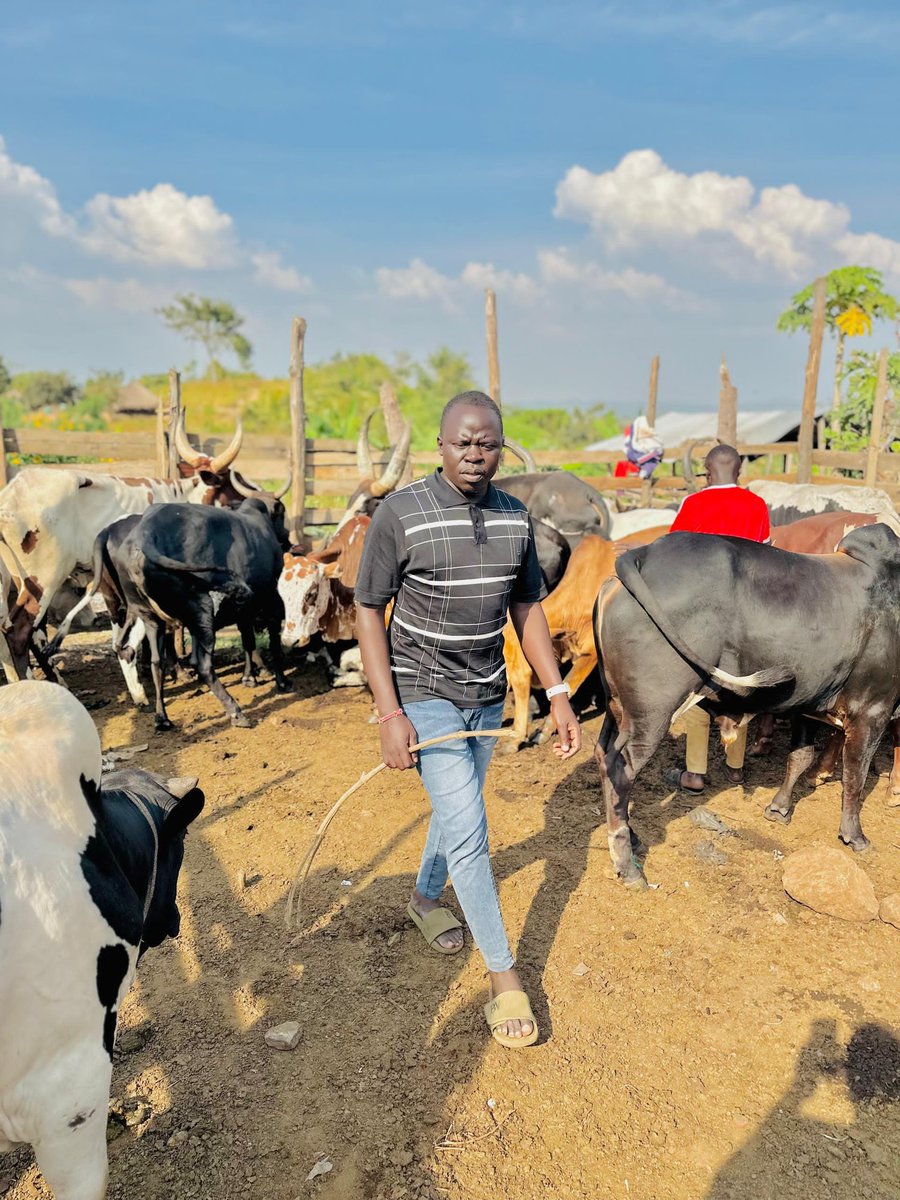 Some of you, what gains are you protecting with your tecno phones 📱 
<a href="/People_Power_Ug/">People Power Uganda</a>  
<a href="/HEBobiwine/">BOBI WINE</a>