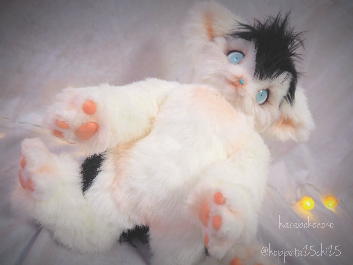 ハラペコ (@hoppeta25chi25) / Posts / X