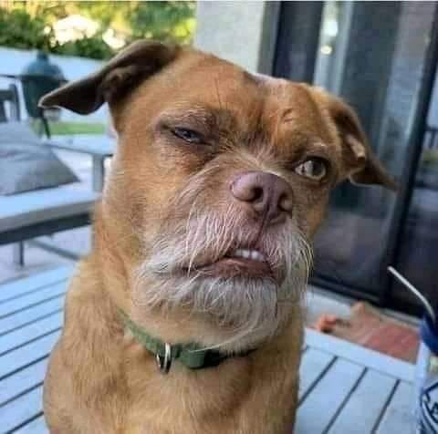 John keyngs tweet media