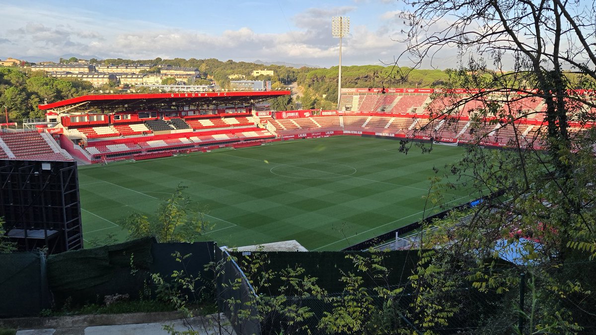 lee Johnson tweet media