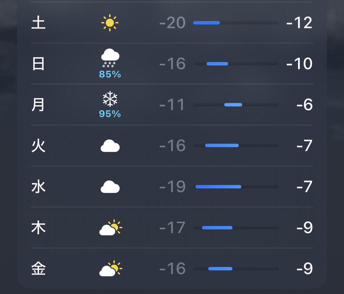 NY の気温見て凍えてる🐻‍❄️🤦🏻‍♀️