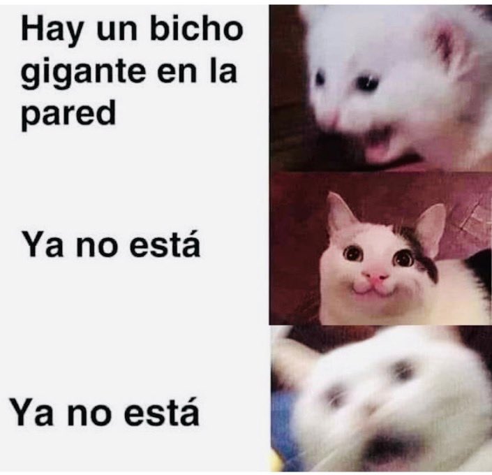 ymuchosmemes's tweet image. 